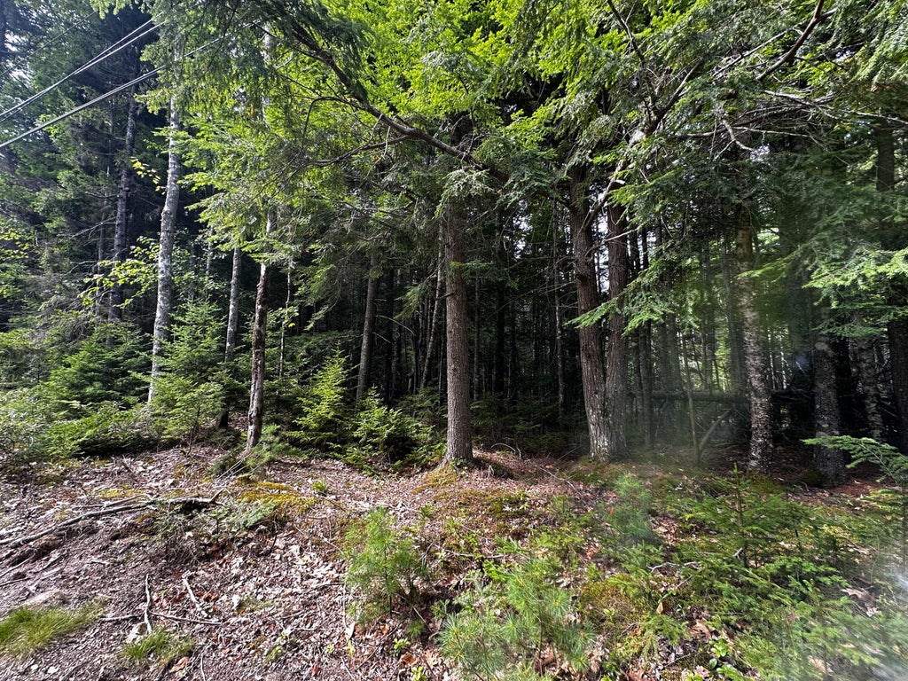 Photo of 002-005 Ripples Road, Mount Desert, ME 04660 (MLS # 1676702)