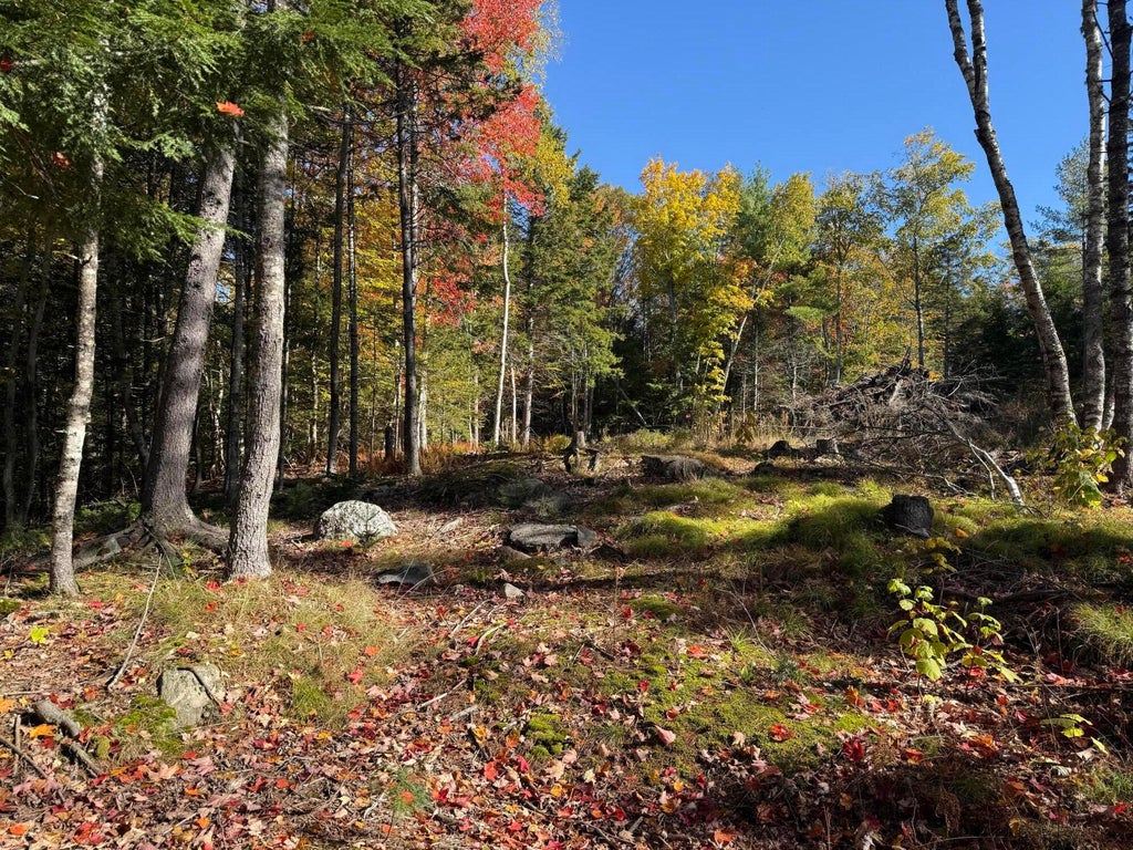 Photo of 78 Castlewood Road, Newcastle, ME 04553 (MLS # 1684687)