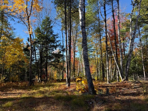 Photo of 78 Castlewood Road, Newcastle, ME 04553 (MLS # 1684687)