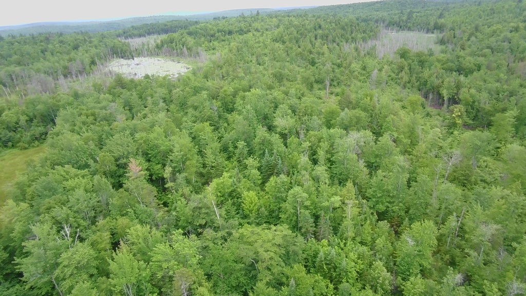 Photo of TBD Trafton Road, Parkman, ME 04443 (MLS # 1618728)