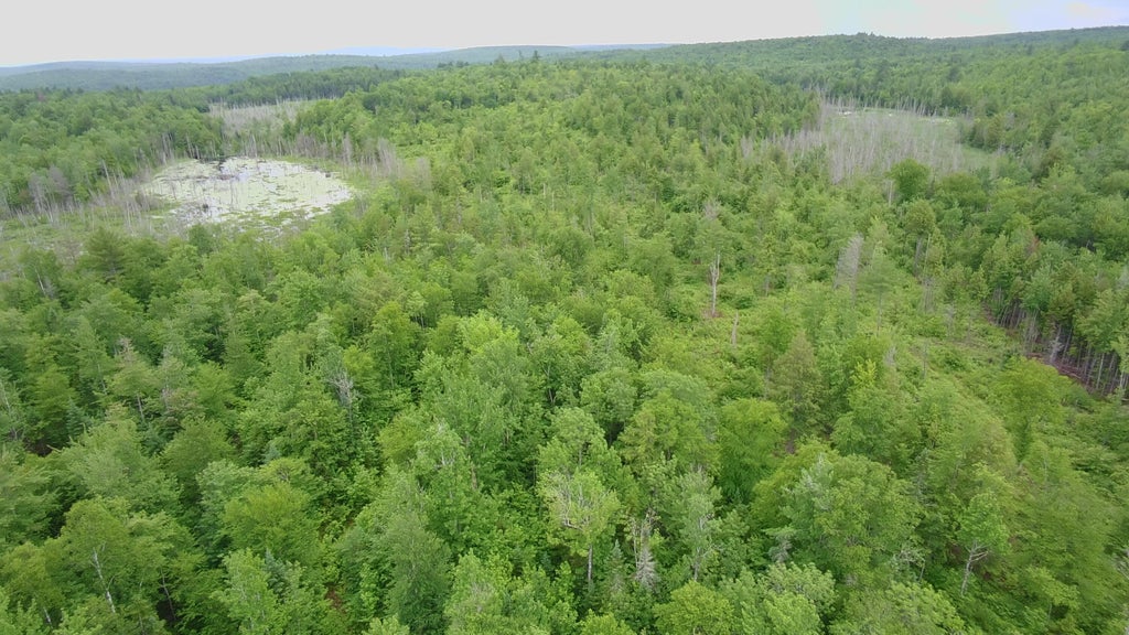 Photo of TBD Trafton Road, Parkman, ME 04443 (MLS # 1618728)