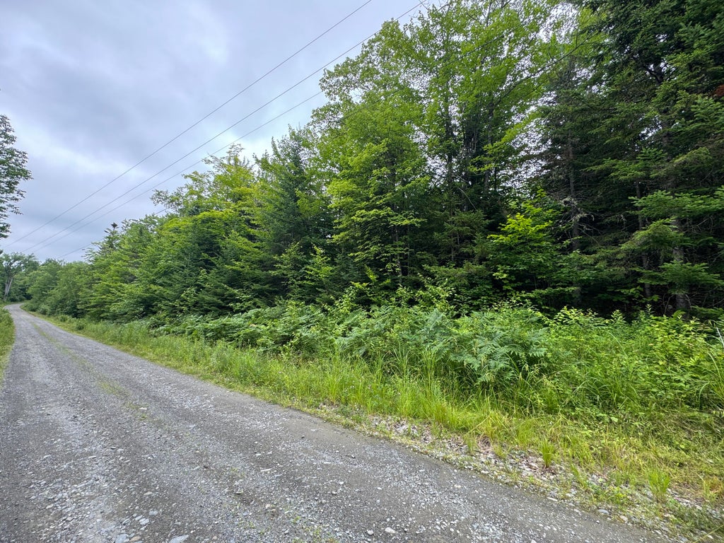Photo of TBD Trafton Road, Parkman, ME 04443 (MLS # 1618728)