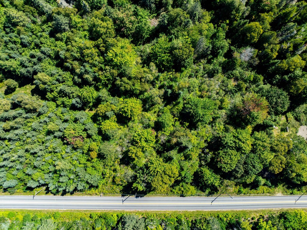 Photo of Lot 25-F-1 Dixie Road, Lubec, ME 04652 (MLS # 1679065)