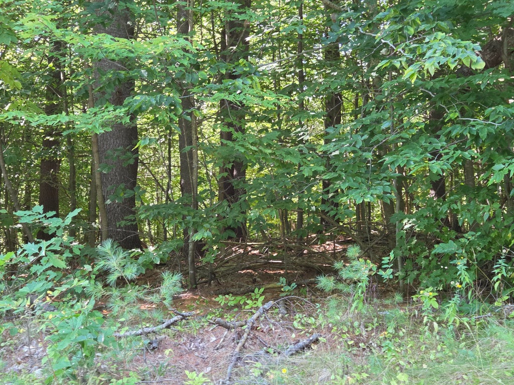Photo of 385 Swain Road, Rumford, ME 04276 (MLS # 1679482)