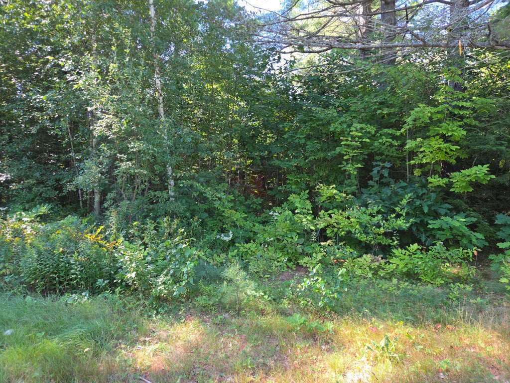 Photo of 385 Swain Road, Rumford, ME 04276 (MLS # 1679482)