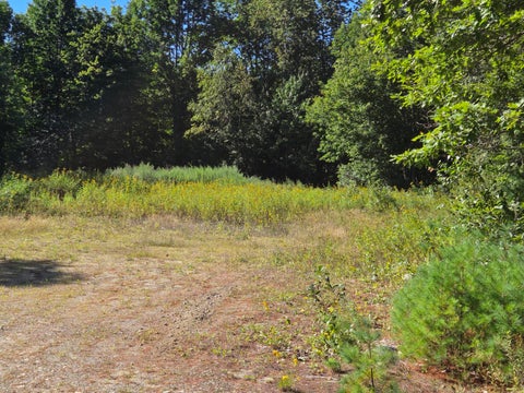 Photo of 385 Swain Road, Rumford, ME 04276 (MLS # 1679482)