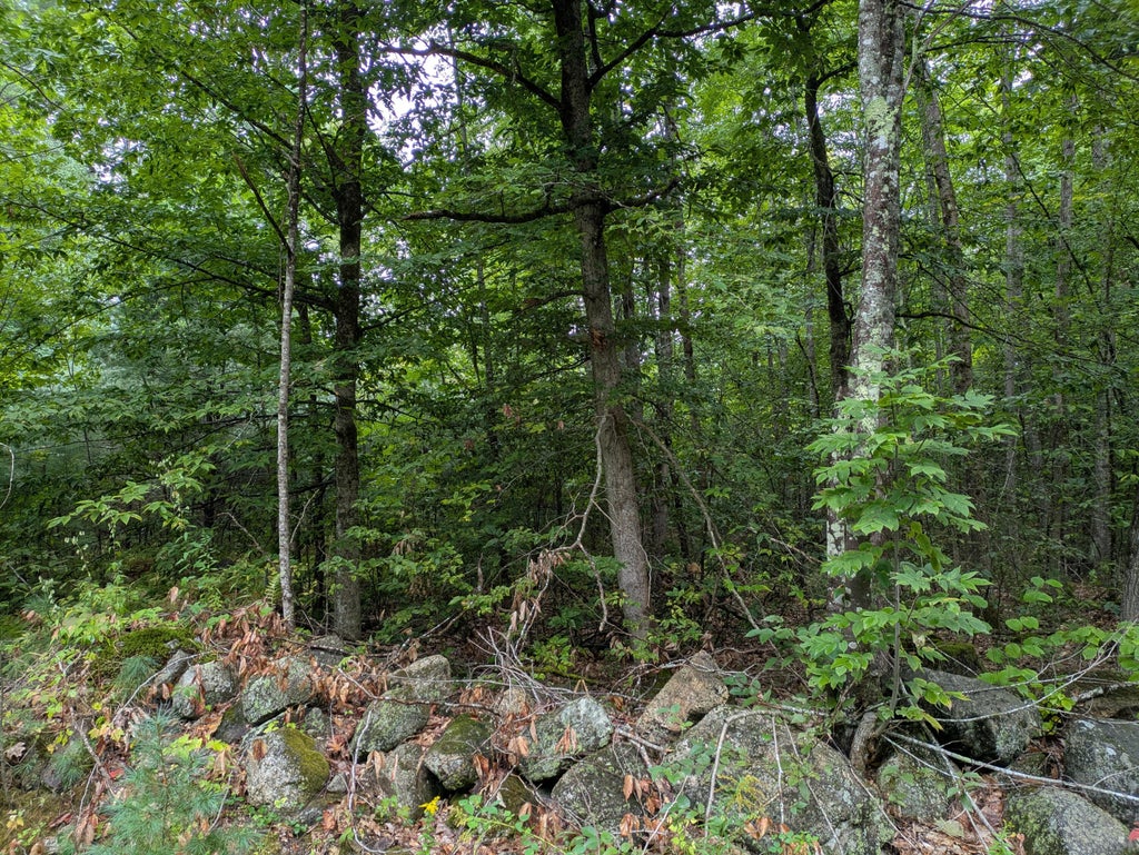 Photo of 135 Old Country Way, Limerick, ME 04048 (MLS # 1678898)