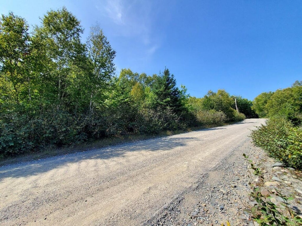 Photo of 45/46D Duck Cove Road, Roque Bluffs, ME 04654 (MLS # 1680444)
