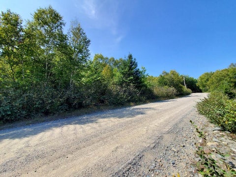 Photo of 45/46D Duck Cove Road, Roque Bluffs, ME 04654 (MLS # 1680444)