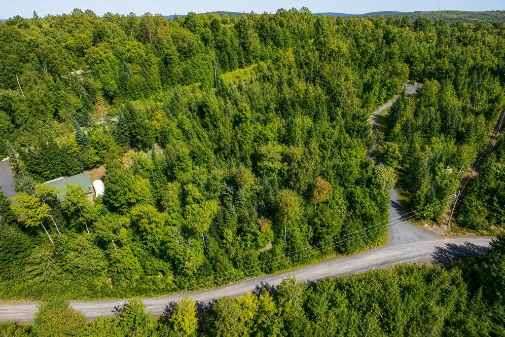 Photo of 38 Black Bear Lane, Greenville, ME 04441 (MLS # 1678625)