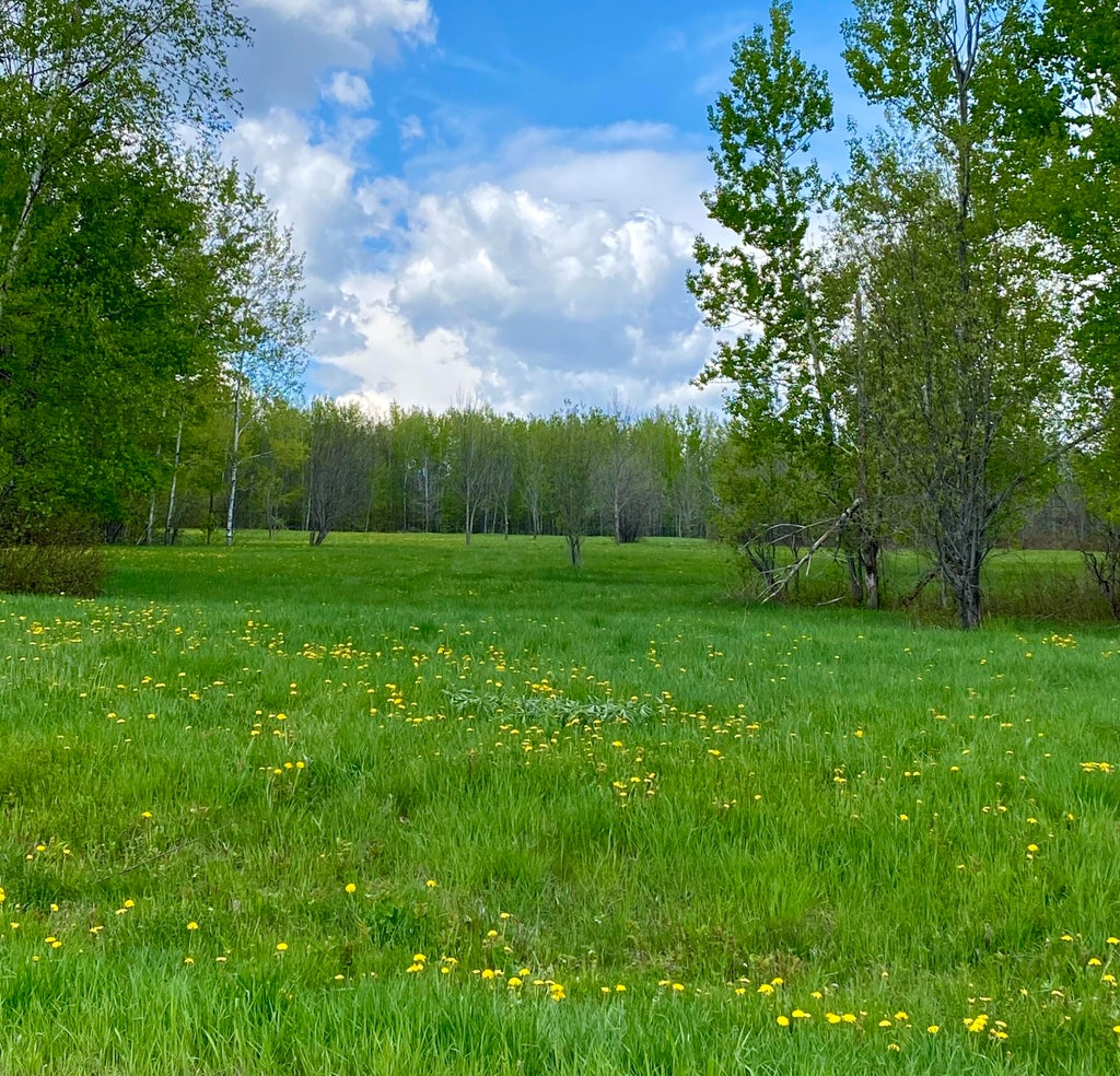 Photo of Lot 8 Clark Road, Patten, ME 04765 (MLS # 1665520)
