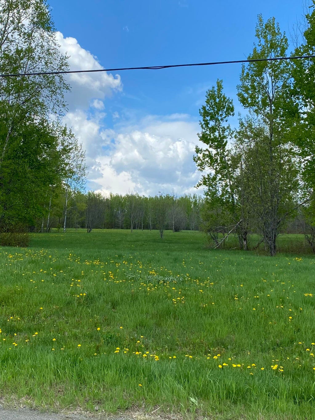 Photo of Lot 8 Clark Road, Patten, ME 04765 (MLS # 1665520)