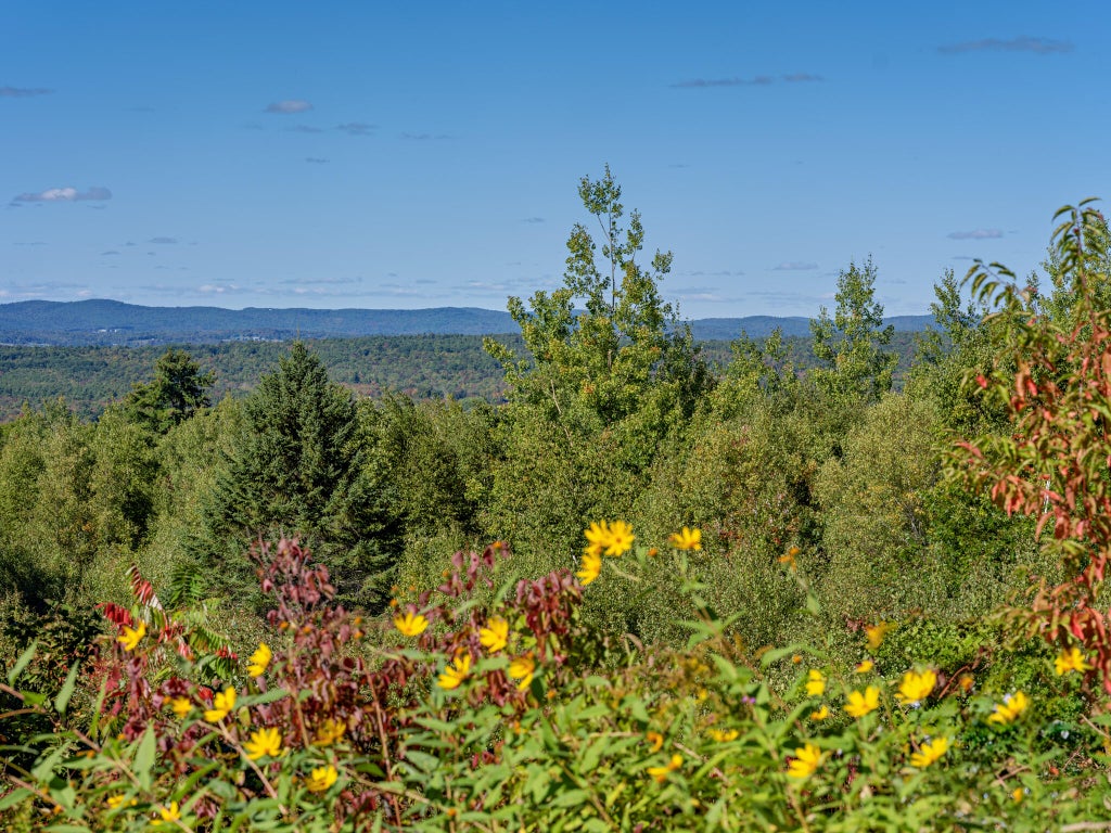 Photo of 642 Lincolnville Avenue, Searsmont, ME 04973 (MLS # 1682112)