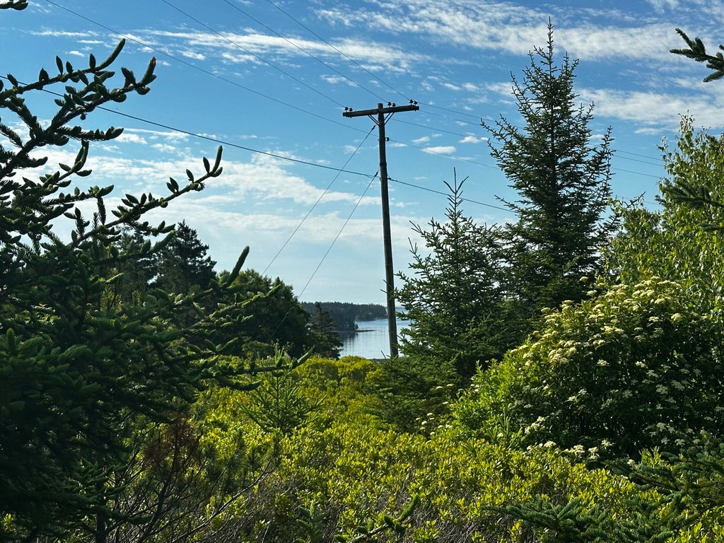 Photo of 234 Harbor Road, Swans Island, ME 04685 (MLS # 1670458)