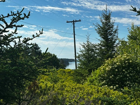 Photo of 234 Harbor Road, Swans Island, ME 04685 (MLS # 1670458)