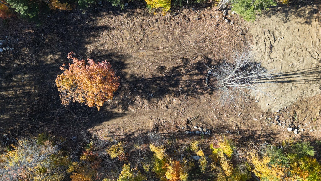 Photo of Lot #9 Raspberry Hill Road, Mechanic Falls, ME 04256 (MLS # 1685120)