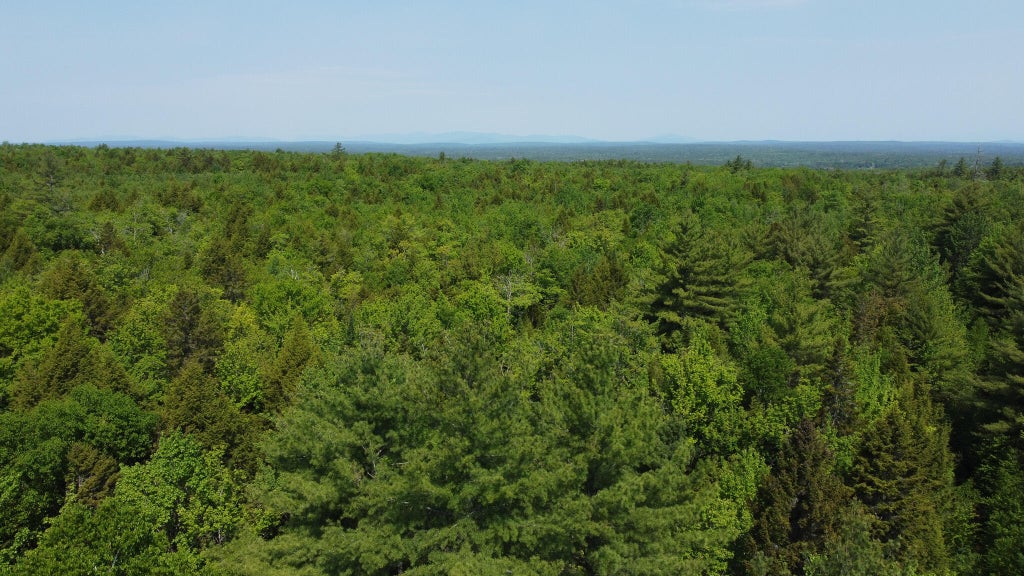 Photo of M1 L2 Off Bunker Hill Road, Maxfield, ME 04448 (MLS # 1666081)