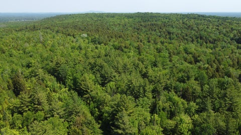 Photo of M1 L2 Off Bunker Hill Road, Maxfield, ME 04448 (MLS # 1666081)