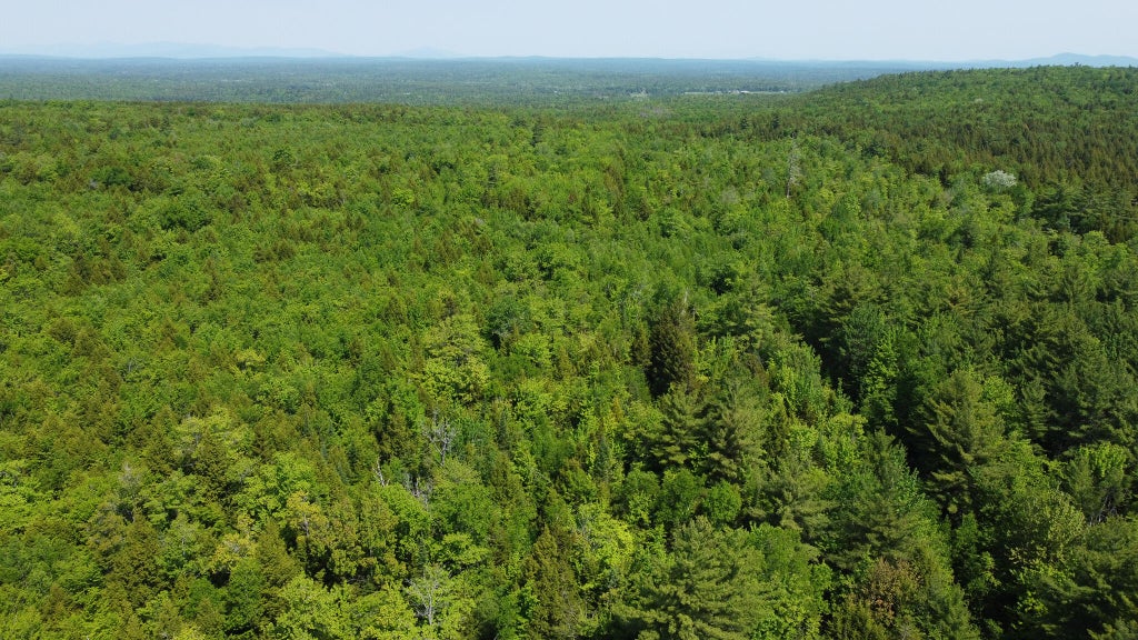 Photo of M1 L2 Off Bunker Hill Road, Maxfield, ME 04448 (MLS # 1666081)