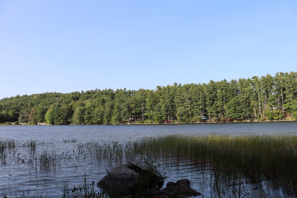 Photo of Lot 0 Sweet Fern Way, Orland, ME 04472 (MLS # 1679760)