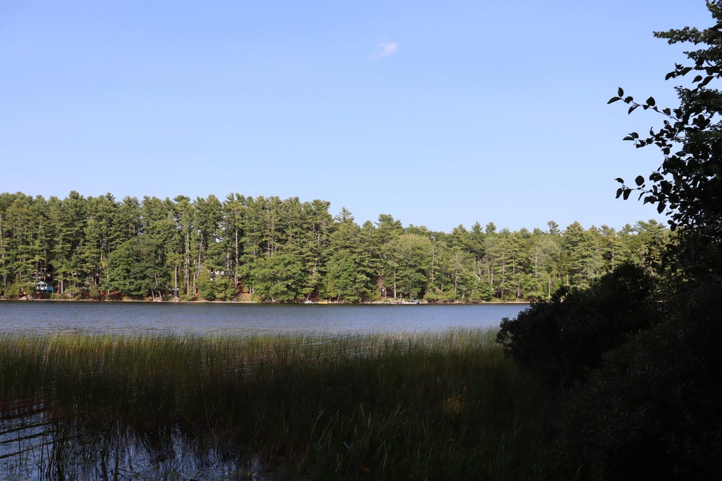 Photo of Lot 0 Sweet Fern Way, Orland, ME 04472 (MLS # 1679760)