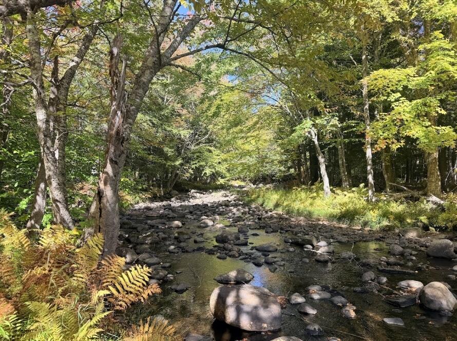 Photo of 17 Birch Way, Andover, ME 04216 (MLS # 1684501)