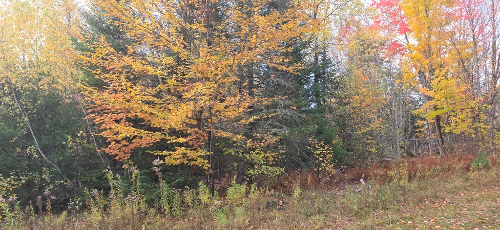 Photo of Lot 27 Murray Road, Thorndike, ME 04986 (MLS # 1684401)