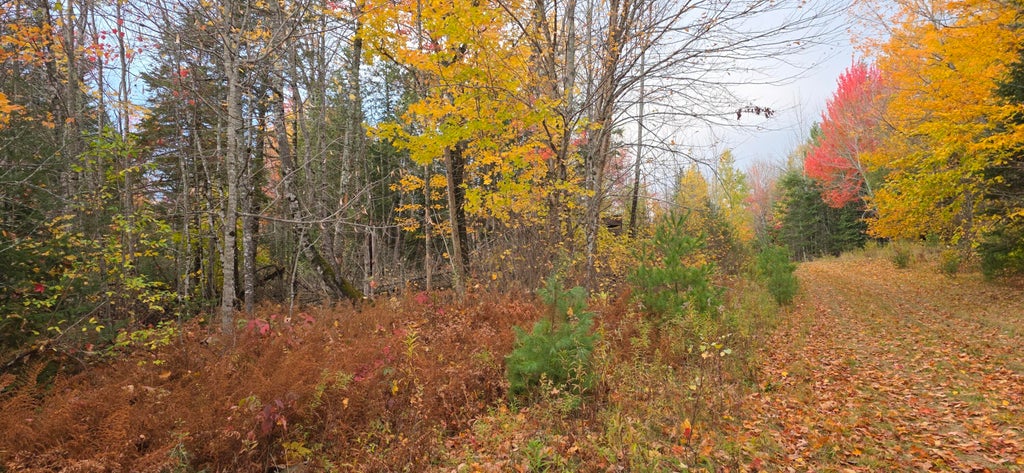 Photo of Lot 27 Murray Road, Thorndike, ME 04986 (MLS # 1684401)