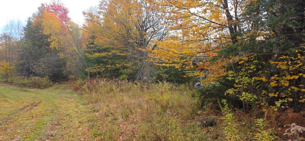 Photo of Lot 27 Murray Road, Thorndike, ME 04986 (MLS # 1684401)