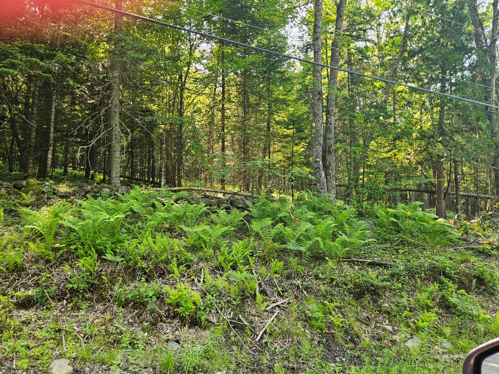Photo of Lot 2-A Rips Road, Brownville, ME 04414 (MLS # 1669914)