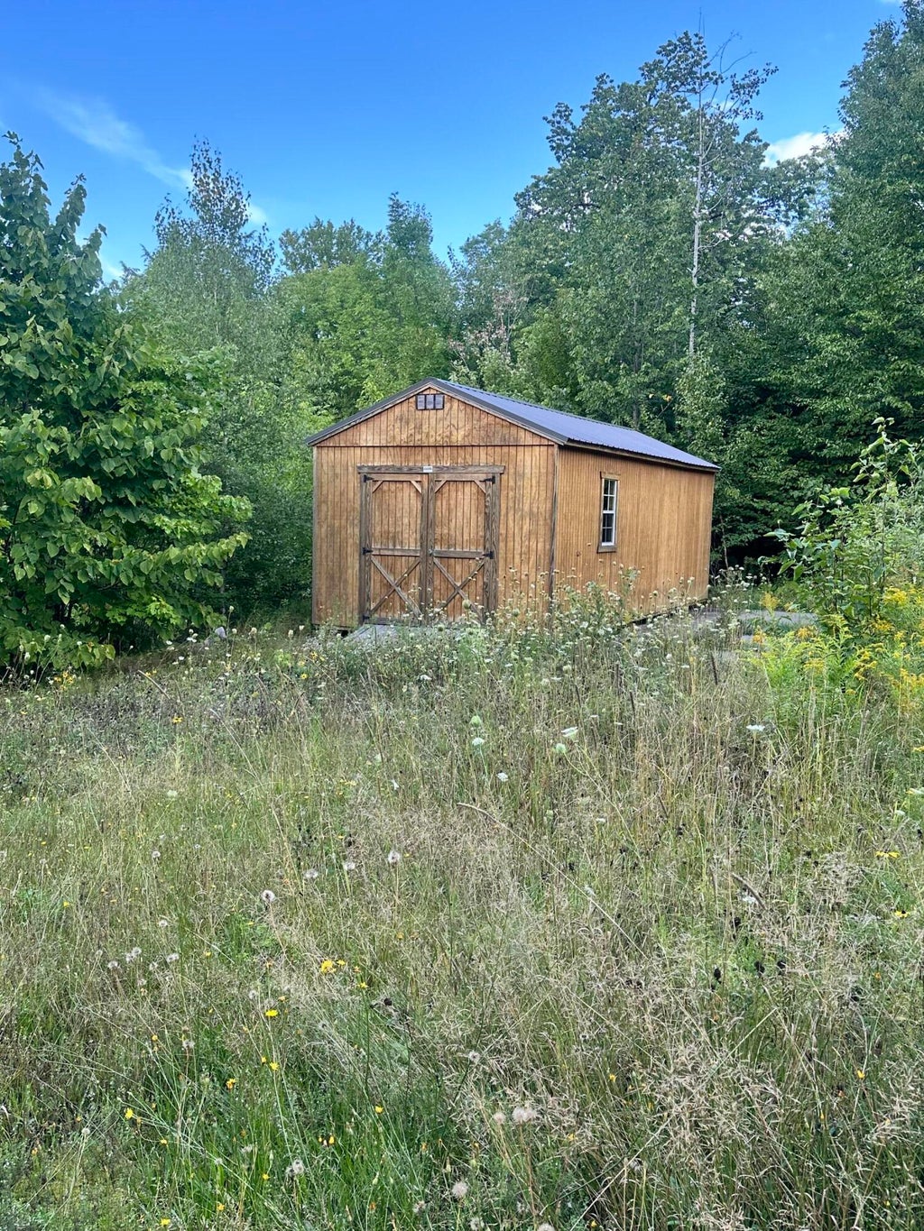 Photo of 400 Windy Pitch Drive, Parkman, ME 04443 (MLS # 1680757)