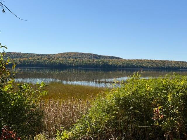 Photo of Lot #38 290 Fire Lane, Sinclair, ME 04779 (MLS # 1681932)