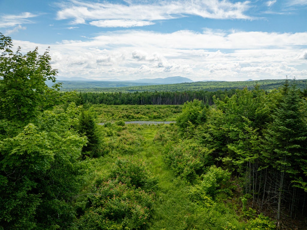 Photo of 8 East Ridge Drive, Greenville, ME 04441 (MLS # 1669127)