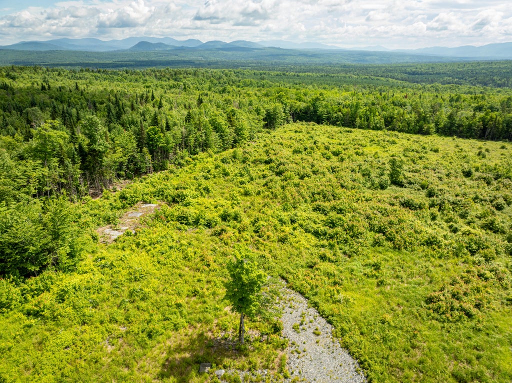 Photo of 8 East Ridge Drive, Greenville, ME 04441 (MLS # 1669127)