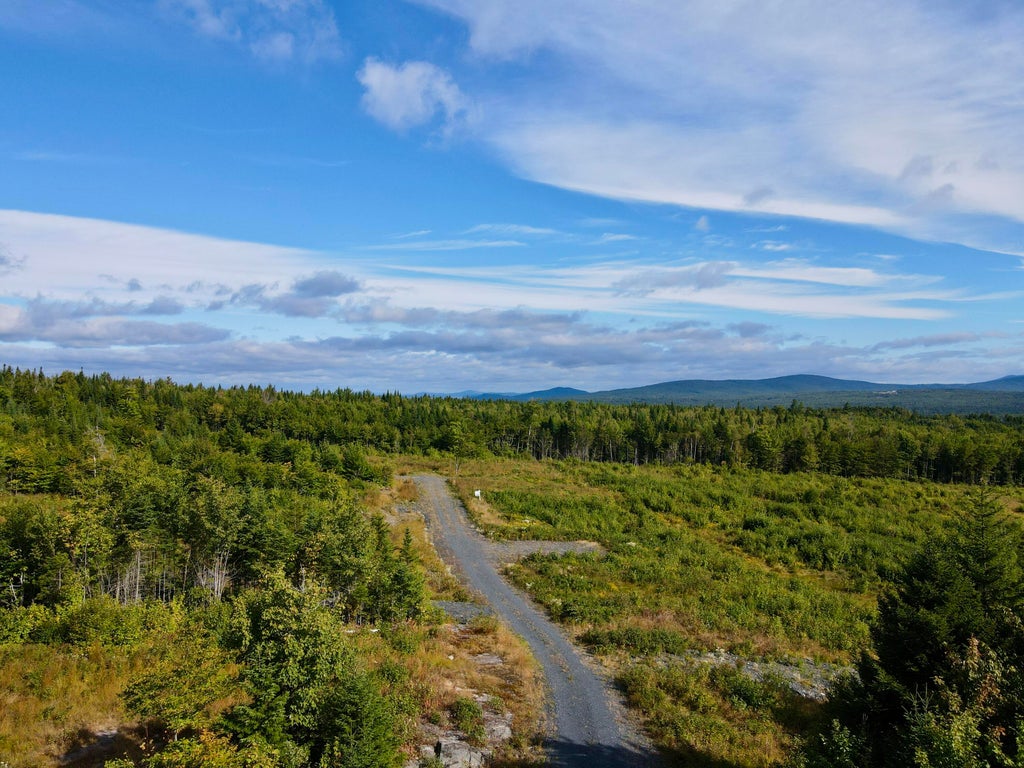 Photo of 8 East Ridge Drive, Greenville, ME 04441 (MLS # 1669127)