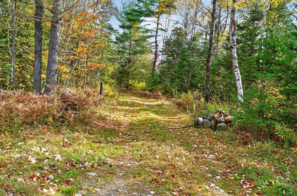 Photo of M7 L19-4 Off Medford Road, Lagrange, ME 04453 (MLS # 1684176)