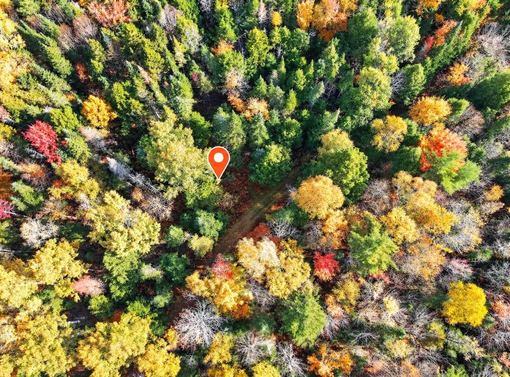 Photo of M7 L19-4 Off Medford Road, Lagrange, ME 04453 (MLS # 1684176)