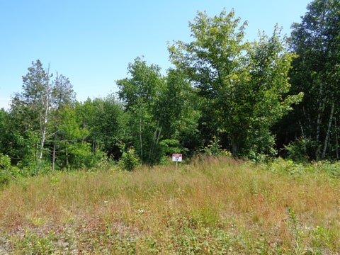 Photo of Lot 17 Bailey Mountain Road, Franklin, ME 04634 (MLS # 1661913)