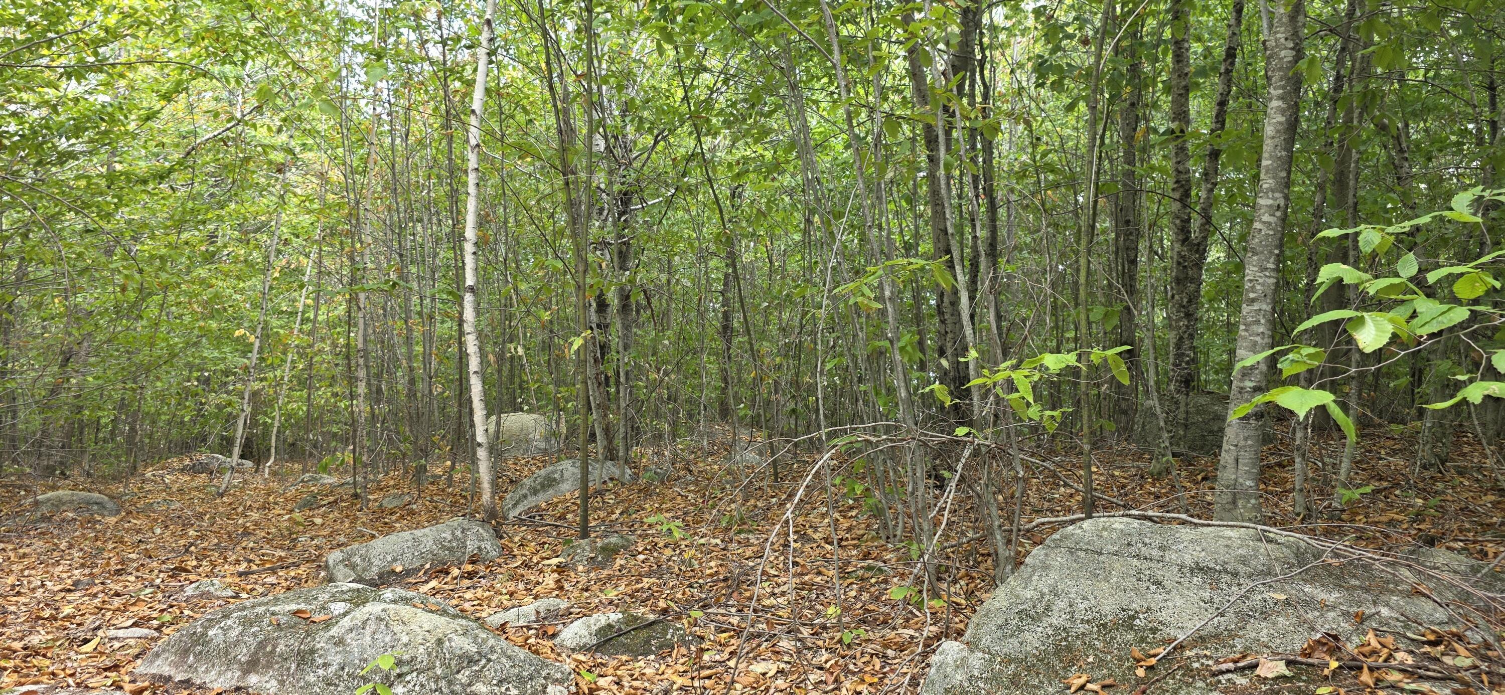 52 High Ridge Road