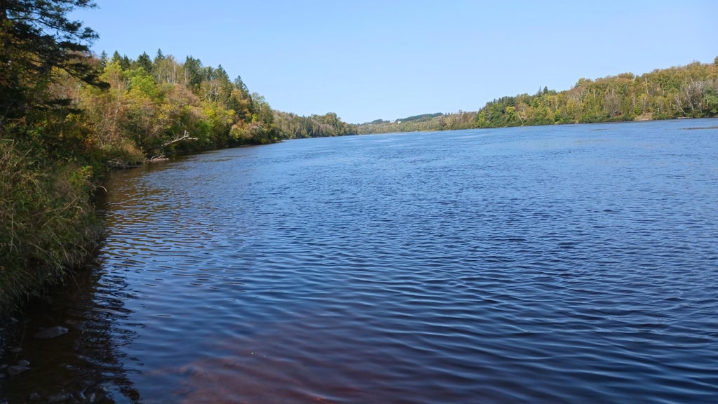 Photo of 1780 Hamlin Road, Hamlin, ME 04785 (MLS # 1678728)