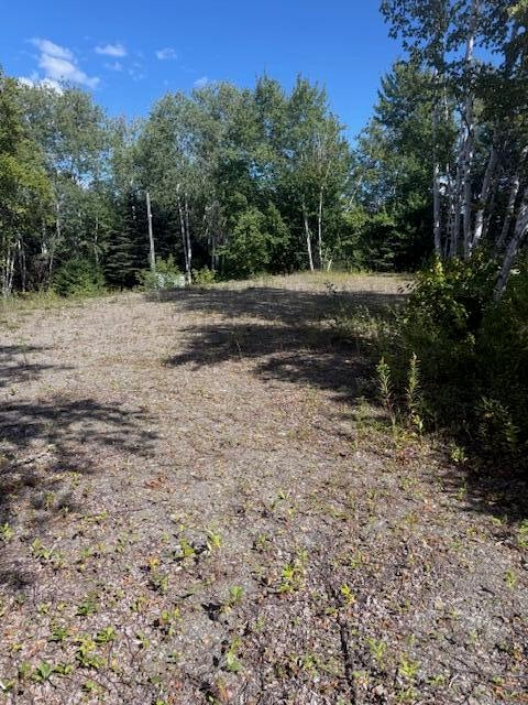 Photo of 1780 Hamlin Road, Hamlin, ME 04785 (MLS # 1678728)