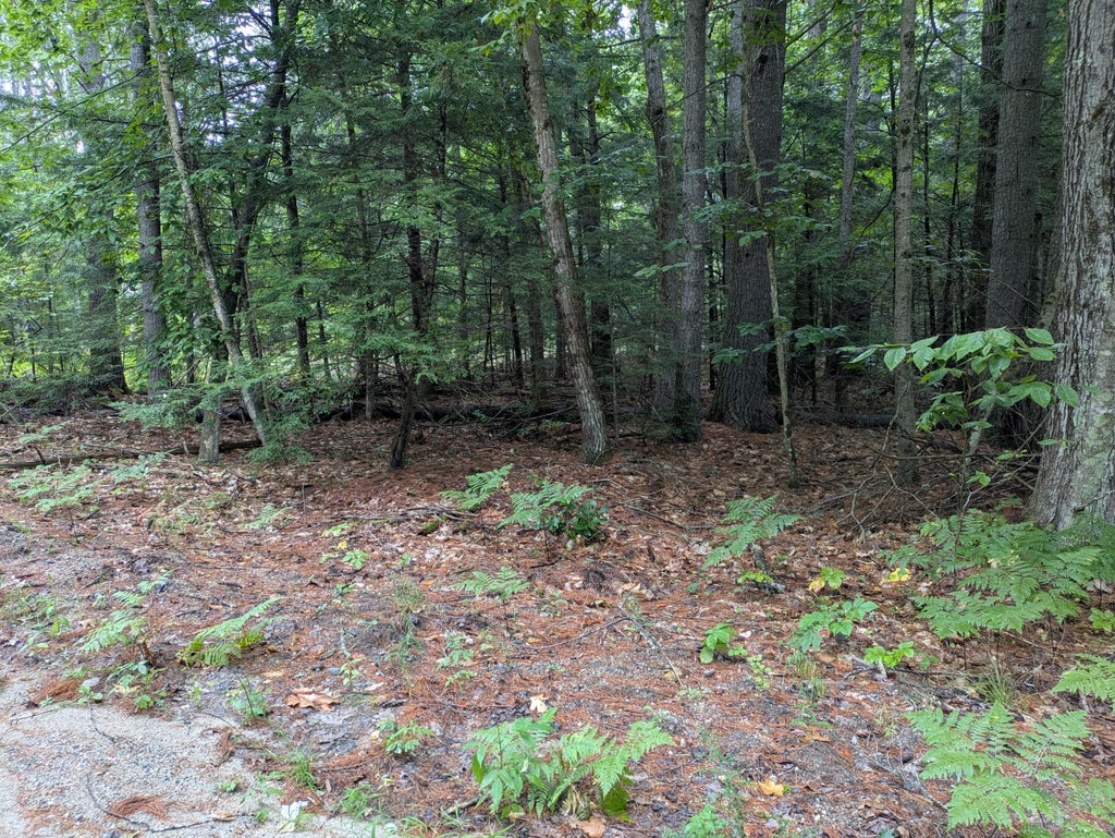 Photo of Lot 27, 28 Sherry Drive, Limerick, ME 04048 (MLS # 1678958)