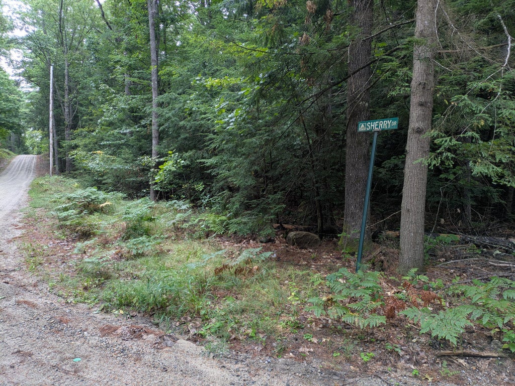 Photo of Lot 27, 28 Sherry Drive, Limerick, ME 04048 (MLS # 1678958)