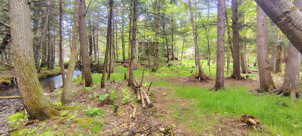 Photo of 463 Clover Mill Road, Farmington, ME 04938 (MLS # 1678665)