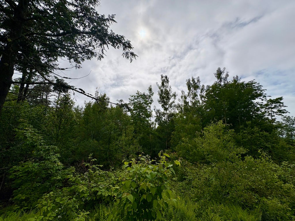Photo of Lot 11 Mt. Jefferson Heights, Lee, ME 04455 (MLS # 1668687)