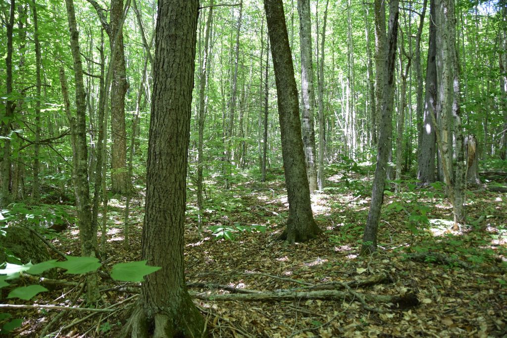 Photo of MSO3 L16 Flow Road, Carrying Place Twp, ME 04961 (MLS # 1671830)
