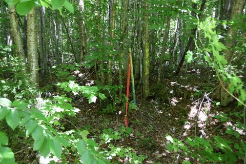 Photo of MSO3 L16 Flow Road, Carrying Place Twp, ME 04961 (MLS # 1671830)