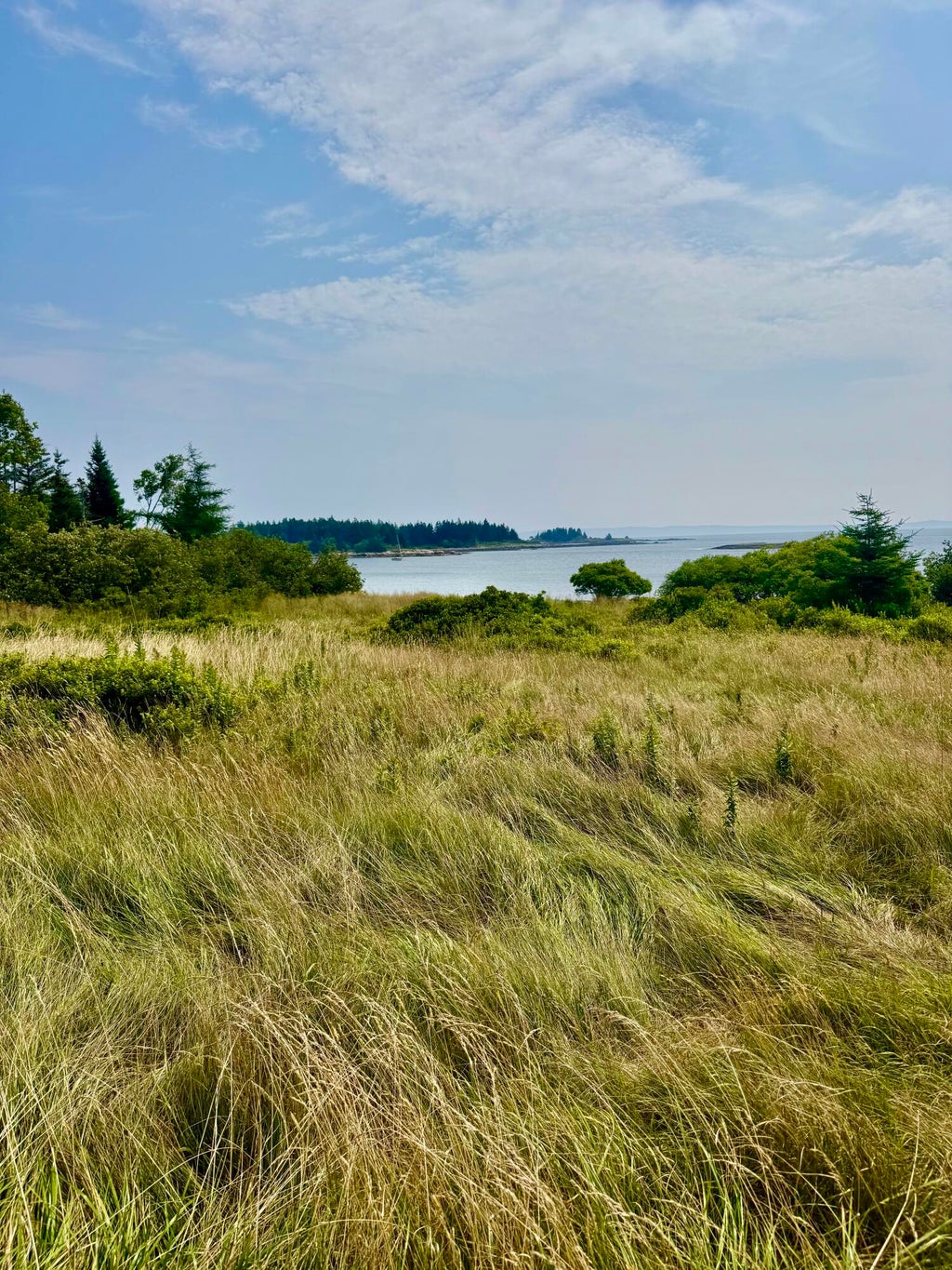 Photo of Lot #5 George Wright Road, Vinalhaven, ME 04863 (MLS # 1665917)