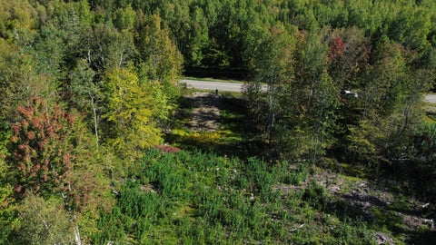 Photo of M3Lot13/2 Number Nine Road, Orient, ME 04471 (MLS # 1681241)