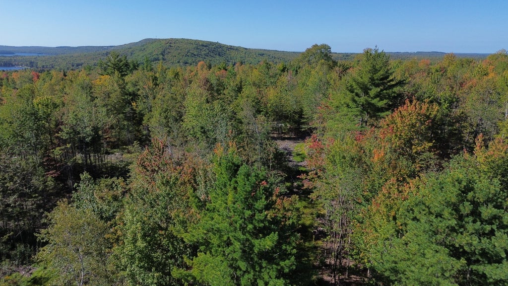 Photo of M3Lot13/2 Number Nine Road, Orient, ME 04471 (MLS # 1681241)